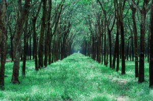 Skyrim SexLab Guide: Unlock Forbidden Secrets