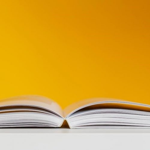 perspectives on ideology textbook pdf