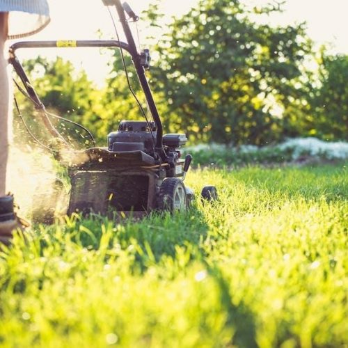 murray lawn mower manual pdf free download