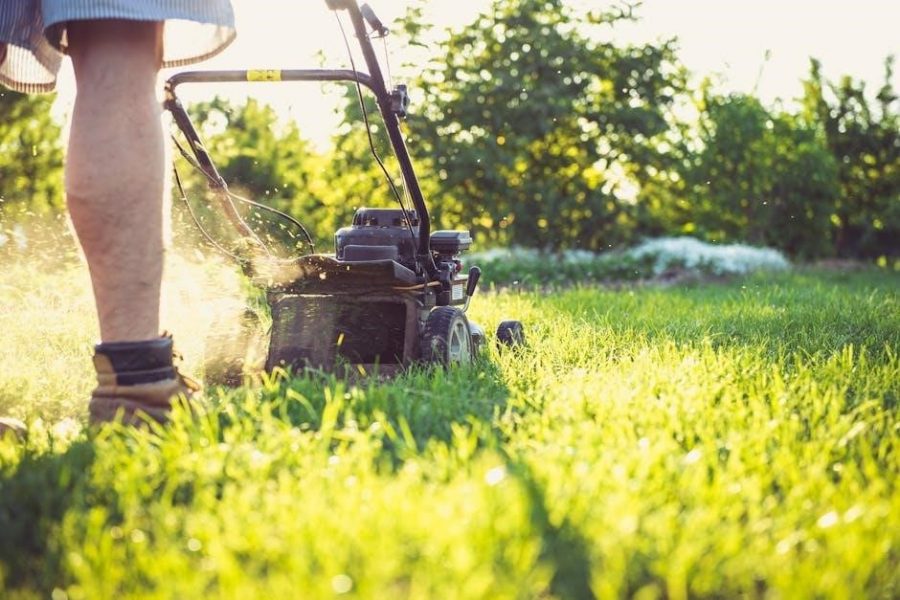 murray lawn mower manual pdf free download