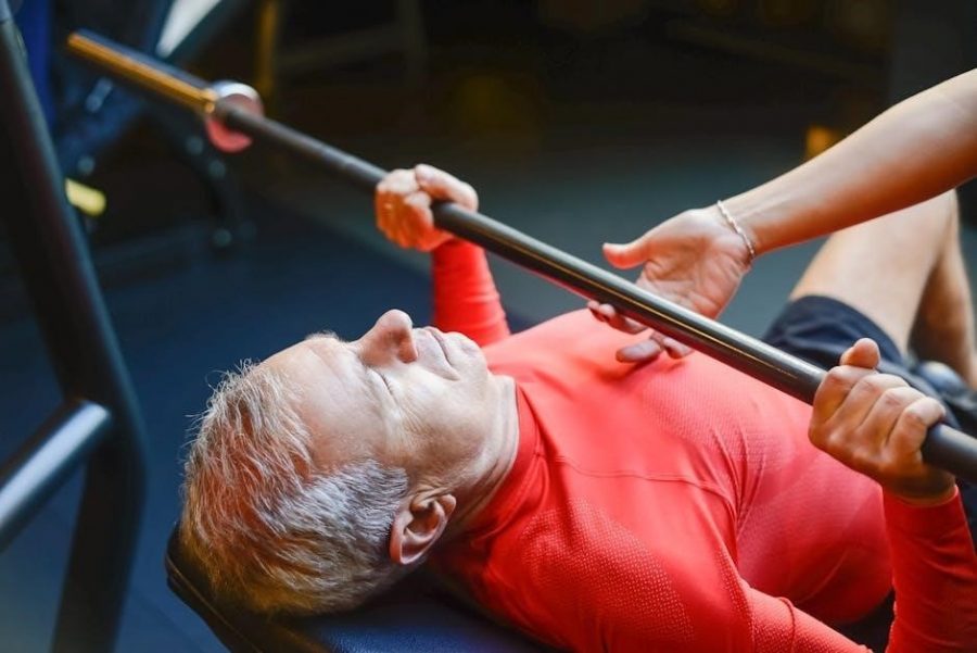 trx workout program pdf