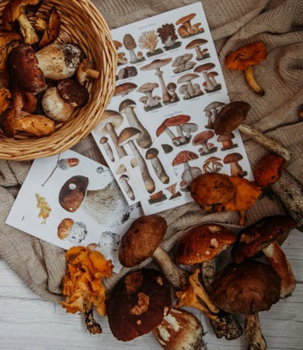 tv guide listings pittsburgh